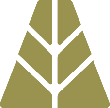 Agora